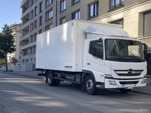 Safe Moving Geneva